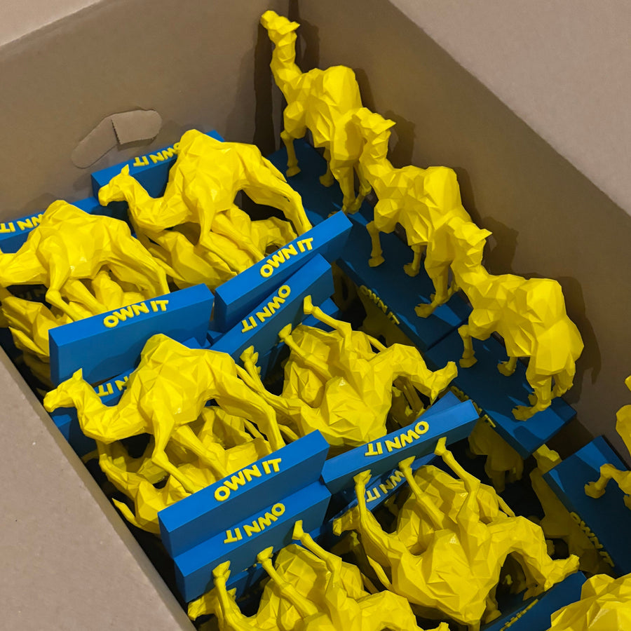 Branded Camel Display Pieces